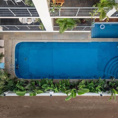 Echor Samara Morjim Goa Sea View Restro Hotel Buitenkant foto